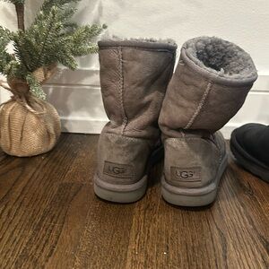 Women UGG Short Grey-7
